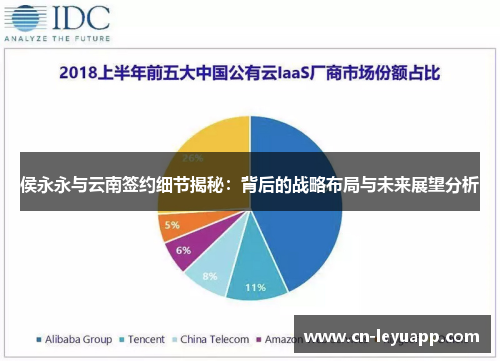 侯永永与云南签约细节揭秘：背后的战略布局与未来展望分析