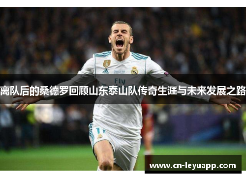 离队后的桑德罗回顾山东泰山队传奇生涯与未来发展之路