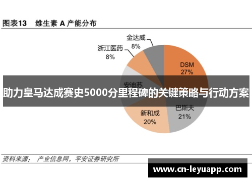 助力皇马达成赛史5000分里程碑的关键策略与行动方案 助力皇马达成赛史5000分里程碑的关键策略与行动方案