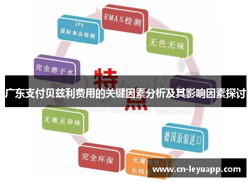 广东支付贝兹利费用的关键因素分析及其影响因素探讨 广东支付贝兹利费用的关键因素分析及其影响因素探讨