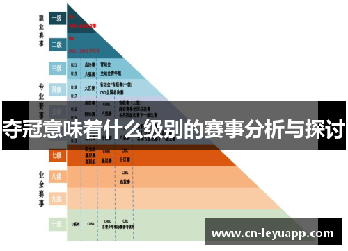 夺冠意味着什么级别的赛事分析与探讨 夺冠意味着什么级别的赛事分析与探讨