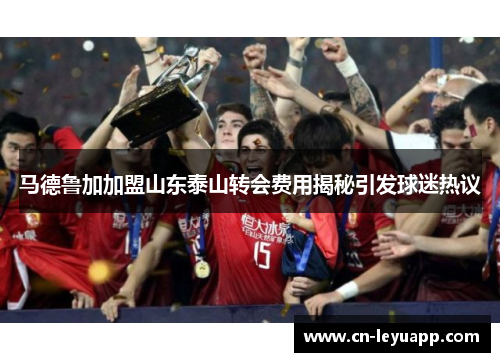 马德鲁加加盟山东泰山转会费用揭秘引发球迷热议