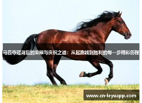 马匹夺冠背后的荣耀与庆祝之道：从起跑线到胜利的每一步精彩历程