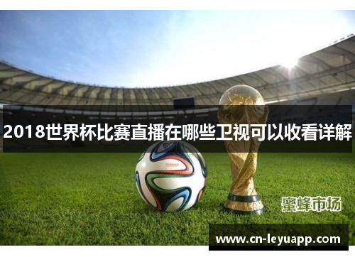 2018世界杯比赛直播在哪些卫视可以收看详解