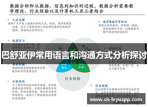 巴舒亚伊常用语言和沟通方式分析探讨