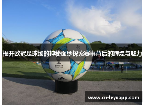 揭开欧冠足球场的神秘面纱探索赛事背后的辉煌与魅力