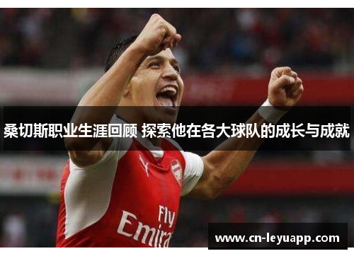 桑切斯职业生涯回顾 探索他在各大球队的成长与成就